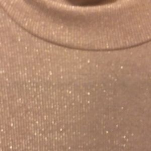 Express One Eleven light mauve sparkle turtle neck